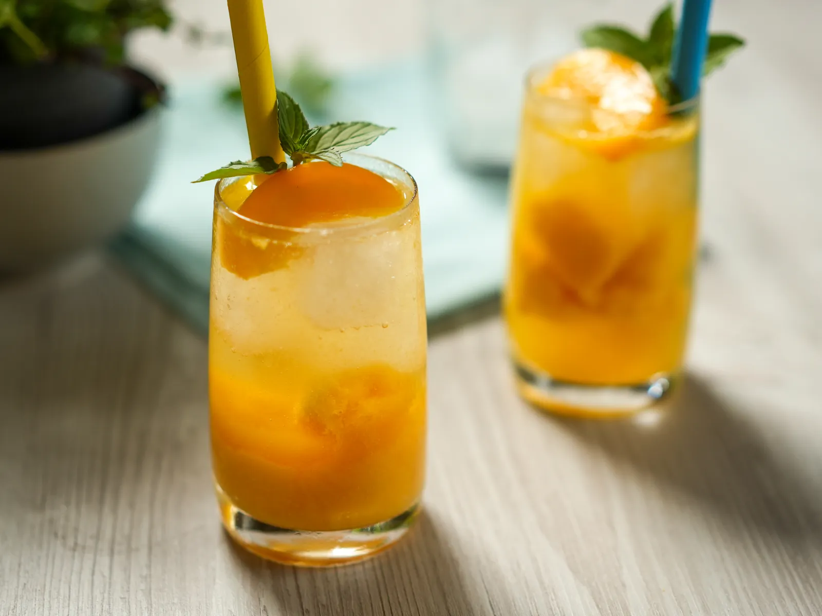 Koktel bellini blizzard